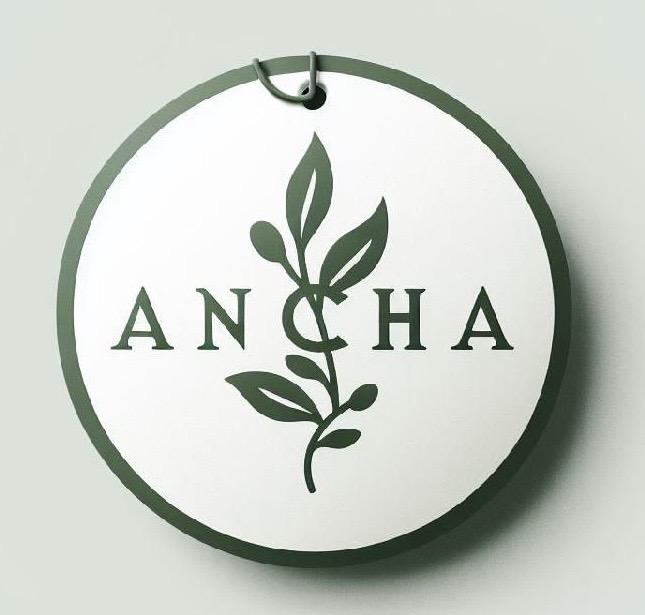 Autor: Quỳnh Anh Vũ